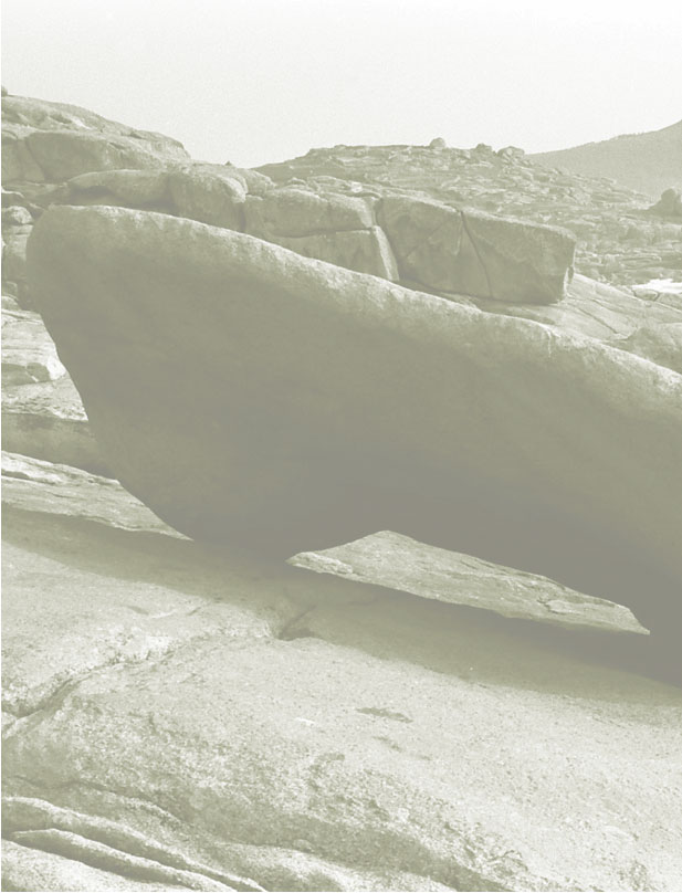 Pedra dos cadri s Muaia, Galicia