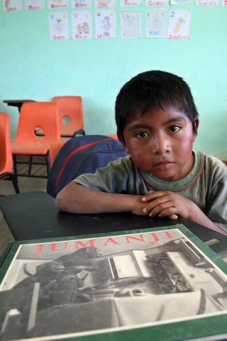 La educación superior como vehículo para la articulación intercultural en América Latina