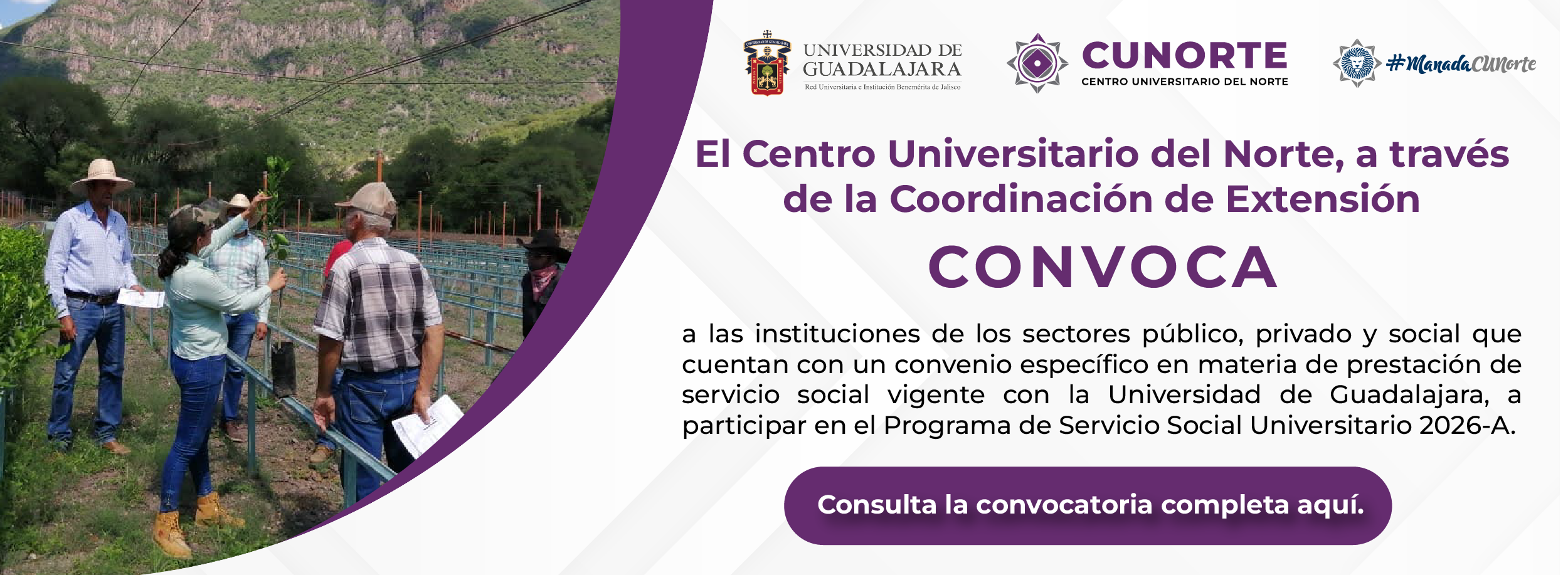 73 Servicio social dependencias