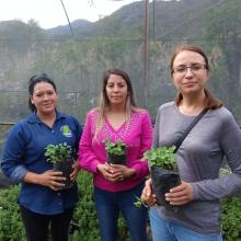 El CUNorte colabora con Juntas Intermunicipales de Medio Ambiente de Jalisco y las Escuelas del Campo 