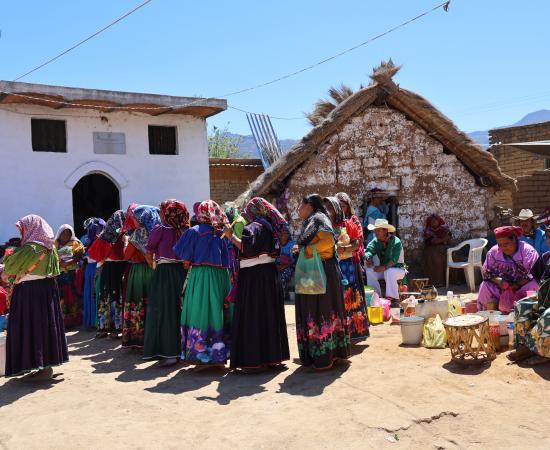 Estudiantes, docentes y autoridades del CUNorte participan en ceremonia wixárika para bendecir sede en Tuxpan de Bolaños