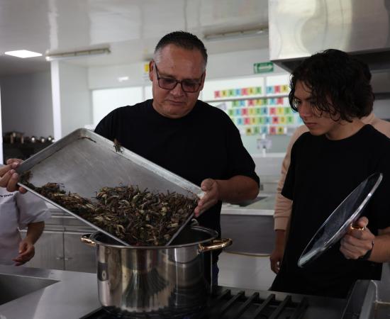 CUNorte impulsa el conocimiento en torno a la entomofagia