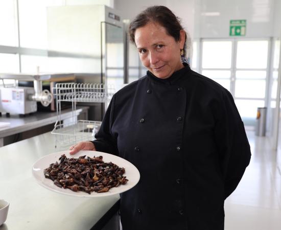 CUNorte impulsa el conocimiento en torno a la entomofagia