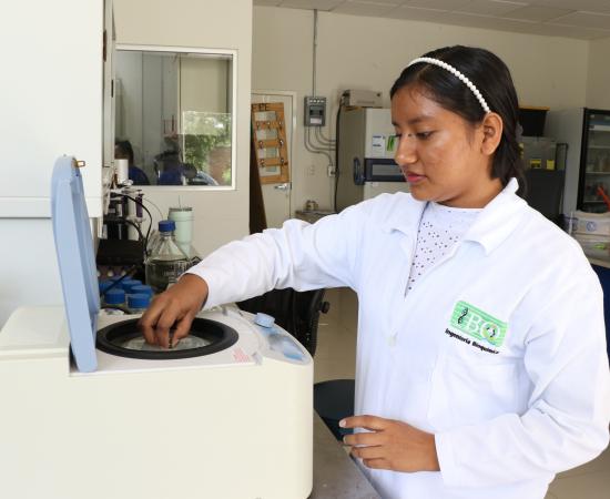 Estudiantes de Colombia y México Realizan su Verano de Investigación en CUNorte