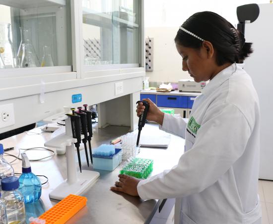 Estudiantes de Colombia y México Realizan su Verano de Investigación en CUNorte