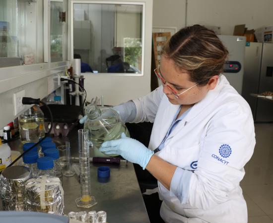 Estudiantes de Colombia y México Realizan su Verano de Investigación en CUNorte