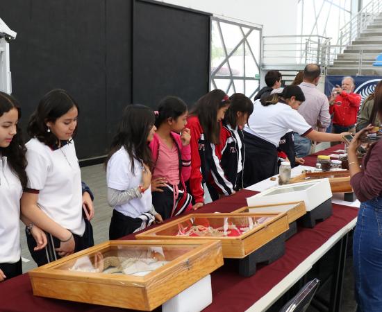 CUNorte recibe la “Colección Biológica Itinerante” del CUCSur