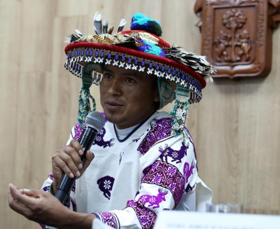 Lenguas indígenas