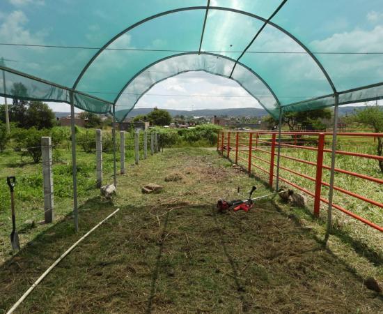 CUNorte participa en el proyecto Escuelas de Campo en Villa Guerrero, impulsado por Pronatura Sur y la JINOR