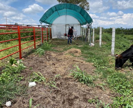 CUNorte participa en el proyecto Escuelas de Campo en Villa Guerrero, impulsado por Pronatura Sur y la JINOR