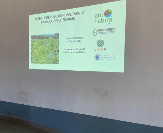 CUNorte participa en el proyecto Escuelas de Campo en Villa Guerrero, impulsado por Pronatura Sur y la JINOR