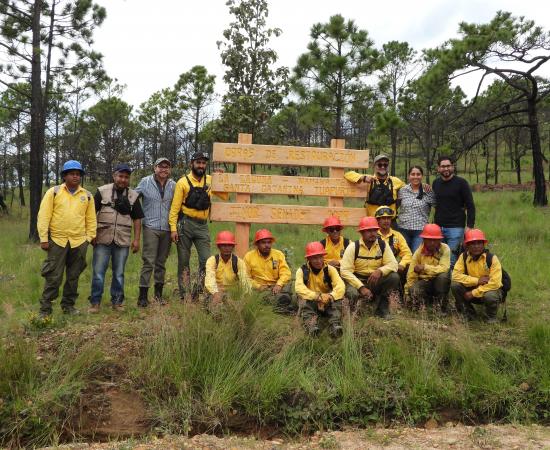 Realizan Jornada de Reforestación en la comunidad wixárika de Santa Catarina Cuexcomatitlán