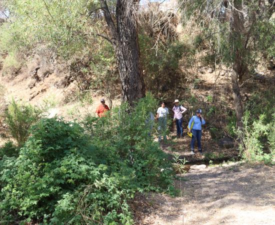 Realiza el CUNorte “Diagnóstico integral y participativo para la gestión sostenible del recurso hídrico en Colotlán, Jalisco”