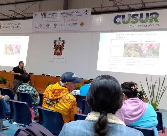 Docentes del CUNorte participaron en el VII Congreso Mexicano de Apicultura