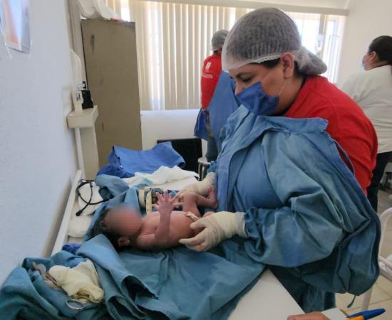 Un nuevo y pequeño latido palpita en Ocota de la Sierra y se hace uno con el gran corazón de las brigadas de #NosLateServir