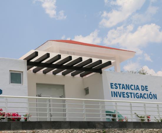 Estancia