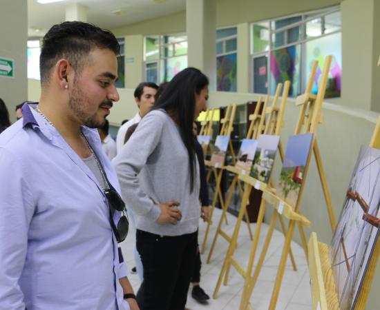 Muestra fotográfica 