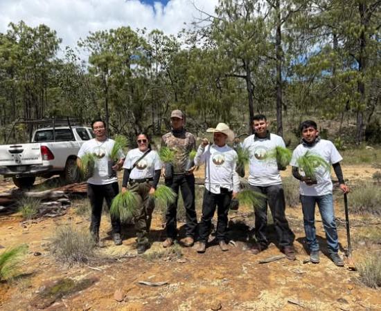 Estudiantes del CUNorte participan en jornada de reforestación en la Sierra Wixárika