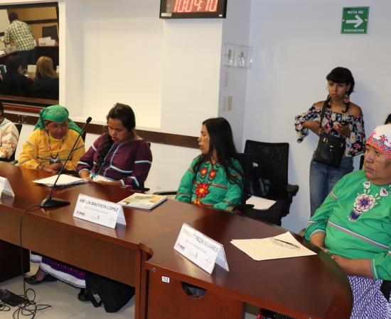 Presentan resultados del proyecto “Construyendo sororidad con mujeres wixaritari”