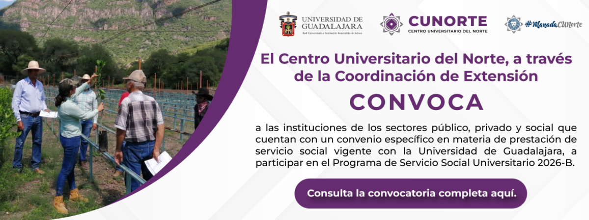 (45) Servicio Social Dependencias 15 JUN